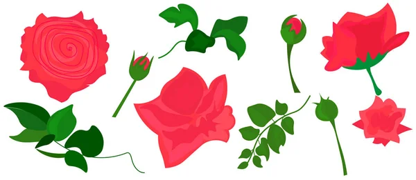 Róże Różowy Wektor Zielony Zostawić Zestaw Elementów Białym Tle Białym — Wektor stockowy