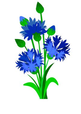 Yeşil yaprakları ile mavi peygamberçiçekleriyle yaban çiçekleri buket demet.