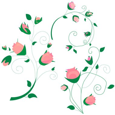 Gül ile açılı çerçeve, Bahar çiçeği (Bloom), leylak ile dalları, pembe elma ağacı çiçekler, tomurcuklar, beyaz arka planda yeşil yaprakları. Dijital beraberlik, suluboya tarzında Illustration, Vintage, vektör