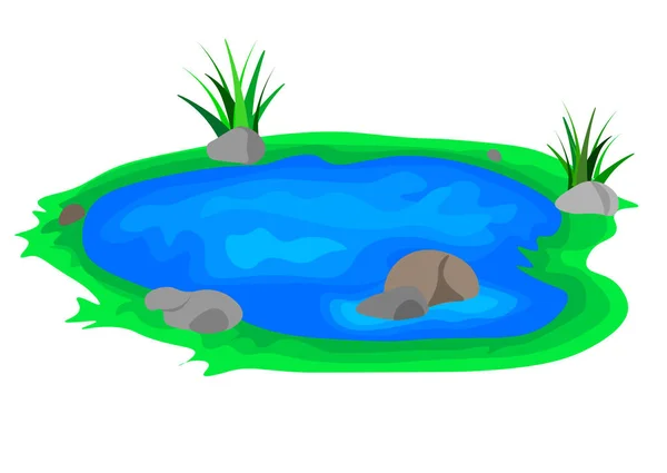 白い背景の図の自然池 — ストックベクタ