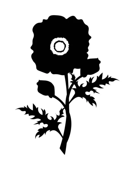 Векторный Дизайн Мака Ручной Работы Графический Набор Ромашковых Маковых Цветов — стоковый вектор