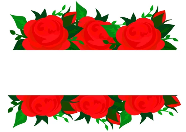 Μεμονωμένο Διάνυσμα Μεγάλο Μπουμπούκι Από Φρέσκο Κόκκινο Τριαντάφυλλο Φύλλα Λευκό — Διανυσματικό Αρχείο