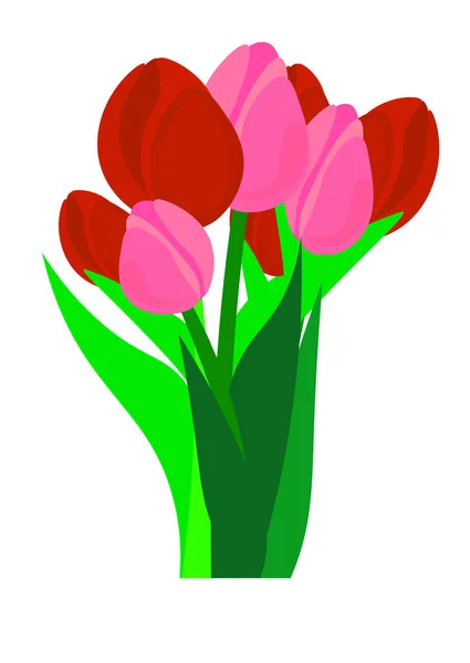 Открытки Международный Женский День Букет Бумаги Срезал Весенние Цветы Тюльпаны — стоковый вектор