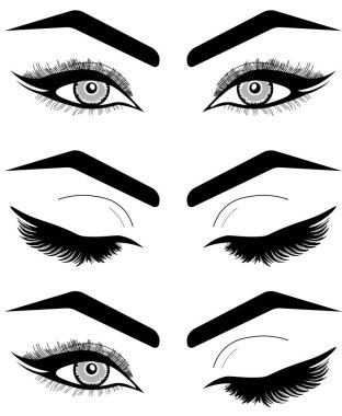 3 temel kaş şekli türleri el çizilmiş illüstrasyon. Moda kadın kaş. Izole siyah ve beyaz güzel kadın gözleri seti - açık ve kapalı. Makyaj boş şablon vektörü