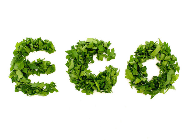 Eco text neatly laid out of parsley leaves. Fragrant seasoning f