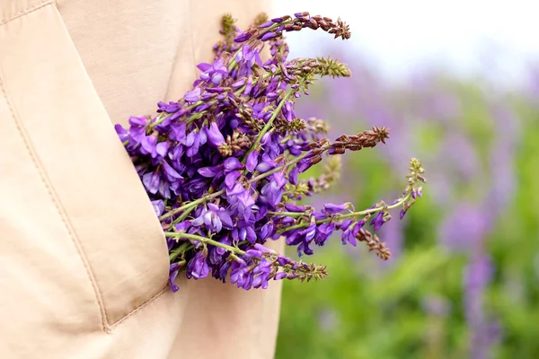 a bouquet of wild purple flowers peeking out of their female coa