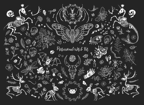 Profesyonel cadı kiti. Öğeleri büyük bir dizi. Sihirli elemanlar, mistik yaratıklar, şifalı otlar, kafatasları ve kemikler. Dövmeler için büyük, t-shirt ve daha baskılar. Cadılar Bayramınız Kutlu Olsun!