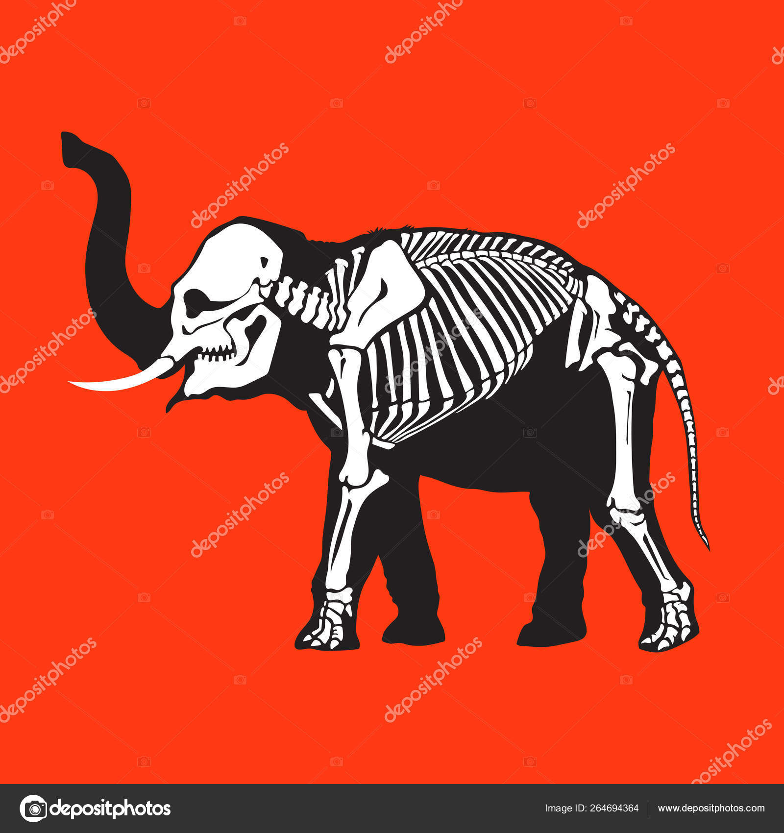Black White Elephant Skeleton Isolated Orange Background Great Tattoo  Printing Stock Vector Image by ©olgasoi007 #264694364