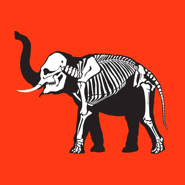 Black White Elephant Skeleton Isolated Orange Background Great Tattoo Printing — Stock Vector