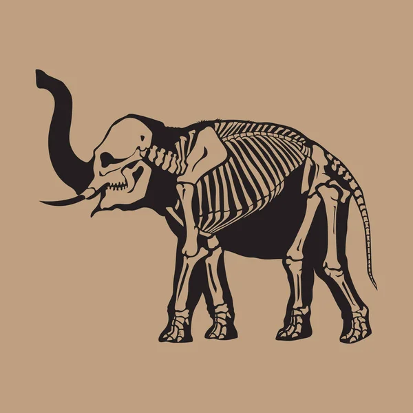 Silueta Negra Elefante Con Esqueleto Cortado Ella Aislado Sobre Fondo — Vector de stock