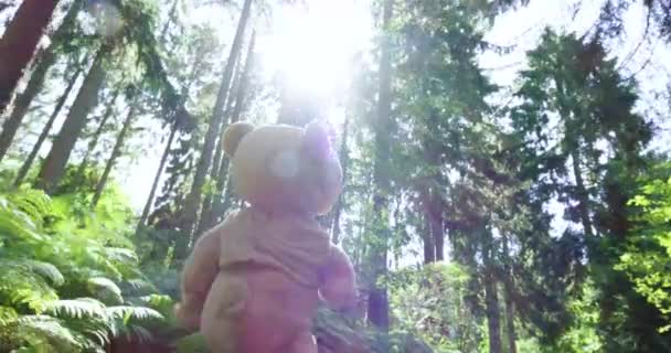 Mann Verkleidung Eines Bären Der Voller Sonne Durch Den Wald — Stockvideo