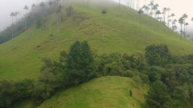 yükselen dağın üst kapsayan drone görüntüleri sis