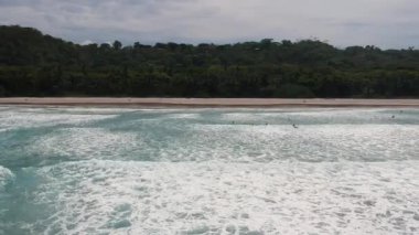 dalgalar plaj ve güzel palmiye ağaçları yukarıdan su görünümünde serfs