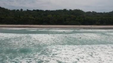 drone görüntüleri dalgalar plaj ve güzel palmiye ağaçları yukarıdan su görünümünde serfs