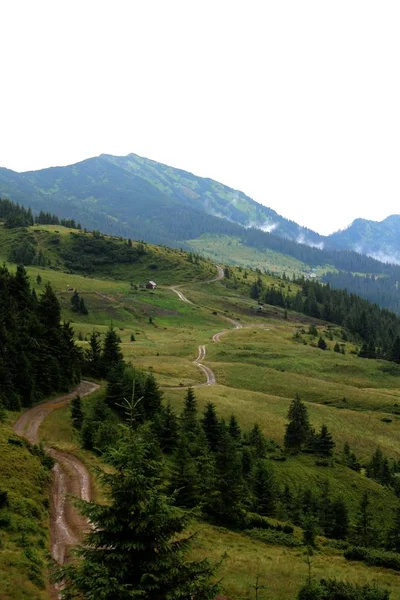 Carpathian Mountains Bauty Ukraine — Stock Photo, Image