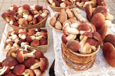 Birçok yenilebilir orman mantarı boletus edulis F. pinophilus olarak bilinen Kral bolete, bozuk para topuzu ve sepeti pazarda satışa sunulmuştur.