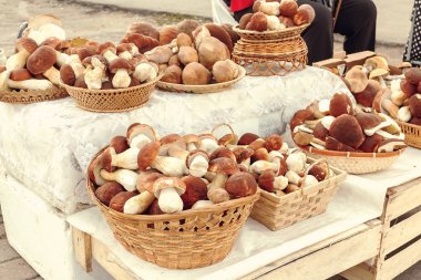 Bir çok yenilebilir orman mantarı boletus edulis F. pinophilus Kral bolete olarak bilinir sepetler halinde sepette satılığa çıkarılmıştır.