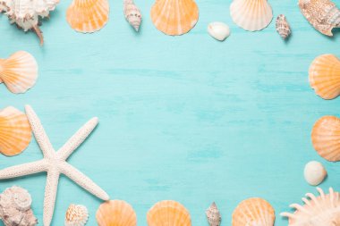 Kopya alanı ve deniz kabuğu sınırı, yaz tatili ve tatil konsepti ile mavi deniz arka planı