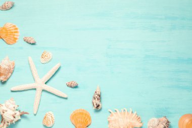 Kopya alanı ve deniz kabuğu sınırı, yaz tatili ve tatil konsepti ile mavi deniz arka planı