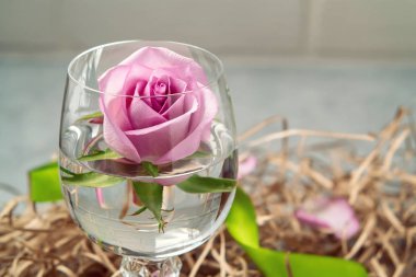 Kabarcıklar ile köpüklü su bir bardak Gül - bir tebrik kartı için bir şablon