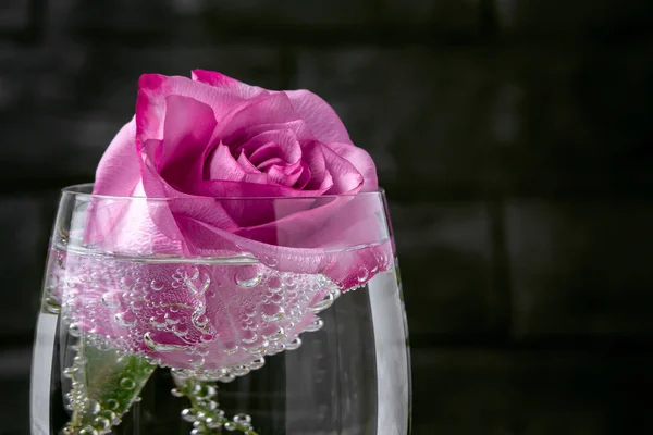 La rosa en el vaso del agua espumosa con las burbujas - la plantilla para la tarjeta de felicitación — Foto de Stock