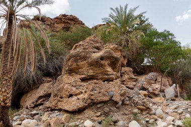 Asya'da Wadi olarak adlandırılan kavrulmuş nehir yatağı, Muscat, Umman eteklerinde