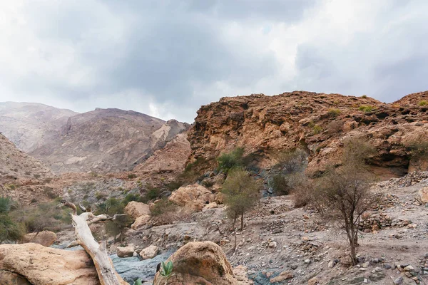 Пересохшее русло реки под названием Вади в Азии, на окраине Маската, Оман — стоковое фото
