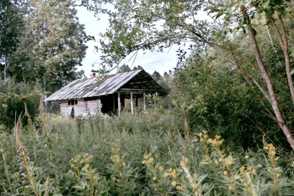 Antigua casa abandonada entre la exuberante vegetación de verano en el bosque — Foto de Stock