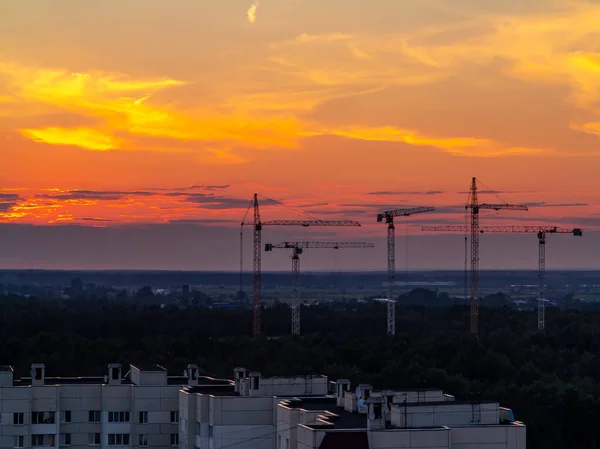 Varias grúas de construcción en el fondo del cielo colorido atardecer — Foto de Stock