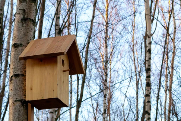 Birdhouse egy fa egy kora tavaszi nyírfa erdőben — Stock Fotó