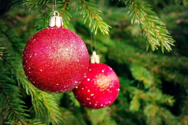 Boules rouges sur épicéa, partie du sapin de Noël avec décorations de Noël — Photo