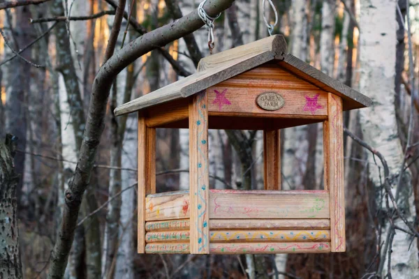 San Pietroburgo, Russia - 22 novembre 2018:: Alimentatore per uccelli a forma di casa su un ramo nella foresta invernale — Foto Stock