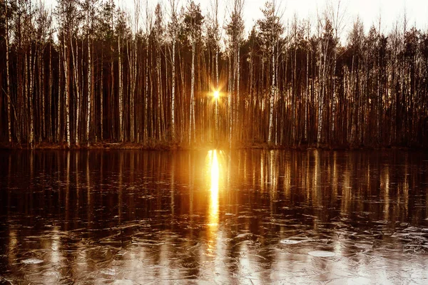 Солнце заката отражается в речной воде — стоковое фото