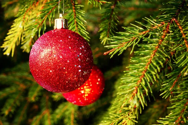 スプルースの赤いボール、クリスマスの飾り付けとクリスマスツリーの一部 — ストック写真