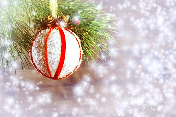 Větev vánočního stromu ozdobená sněhem, bílou koulí s červenými stuhami a kužele. Kopírovat prostor pro text — Stock fotografie
