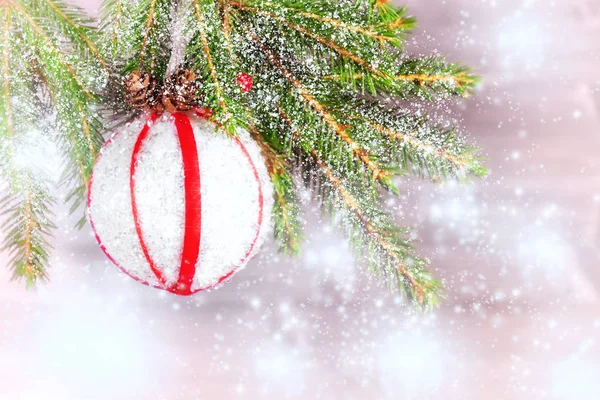 Ramo de uma árvore de Natal decorada com neve, uma bola branca com fitas vermelhas e cones. Espaço de cópia para texto — Fotografia de Stock