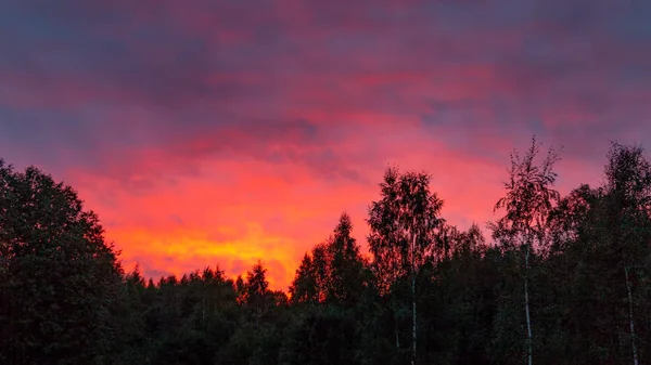 Colorido atardecer en el cielo nublado sobre el verde bosque —  Fotos de Stock