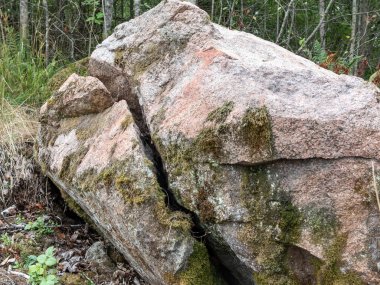 Büyük kaya, bir çatlak ile yosun ile büyümüş