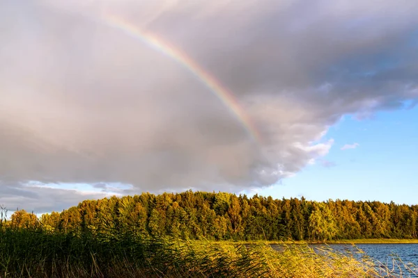 Arco iris sobre el lago y el bosque al atardecer en un día de verano —  Fotos de Stock