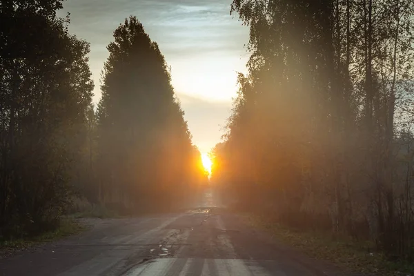 Sonnenaufgang über der Straße im Herbstwald — Stockfoto