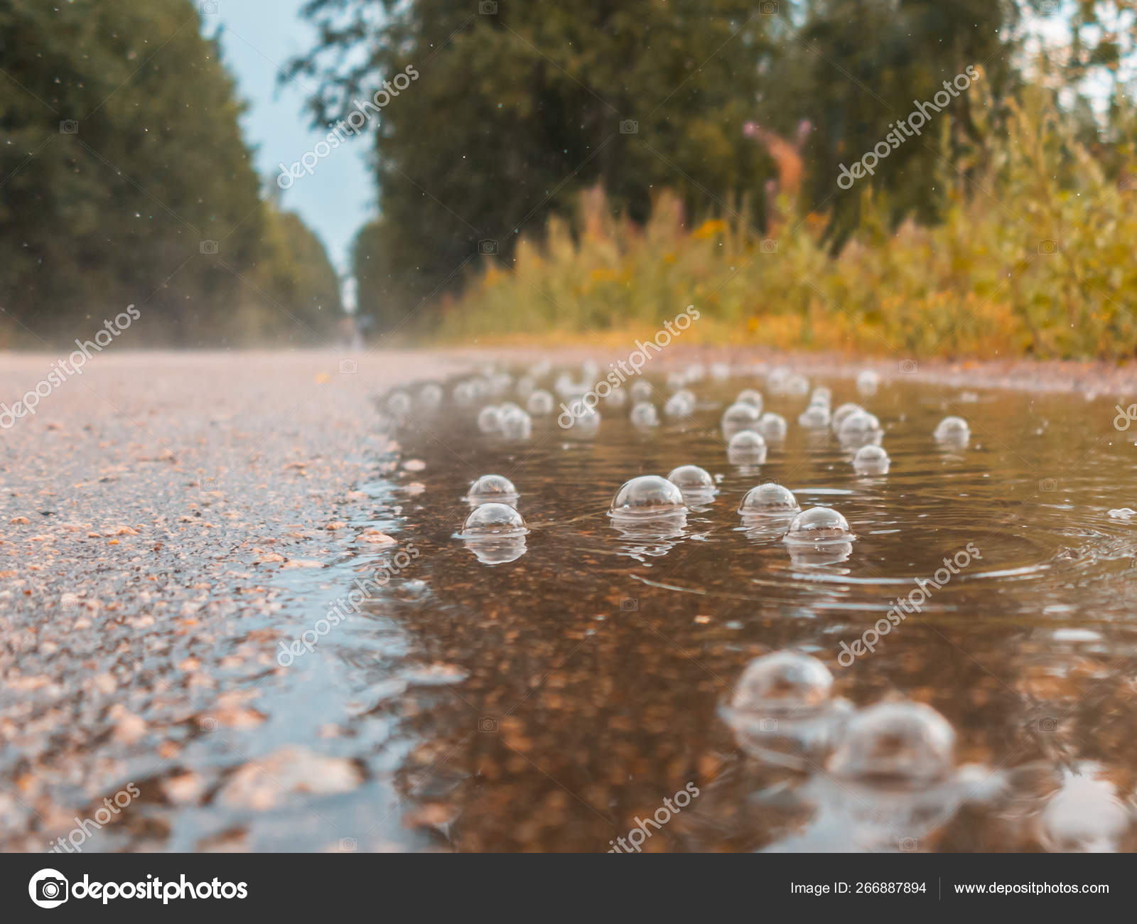 Алексей котлов дождик капает по лужам