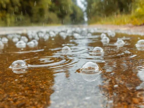 Пузыри в луже на дороге под дождем. Концепция осенней печали — стоковое фото