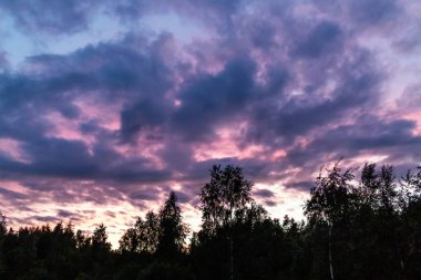 Ormanın kenarında gün batımında gökyüzünde güzel dramatik bulutlar