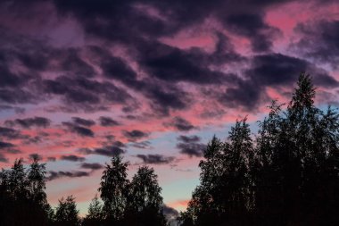 Ormanın kenarında gün batımında gökyüzünde güzel dramatik bulutlar