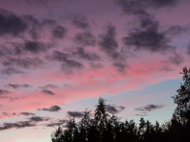 Ormanın kenarında gün batımında gökyüzünde güzel dramatik bulutlar