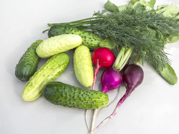 Gurken, Radieschen, Dill auf der weißen Tischfläche — Stockfoto