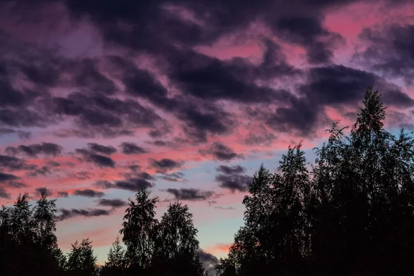 Hermosas nubes dramáticas en el cielo al atardecer sobre el borde del bosque — Foto de Stock