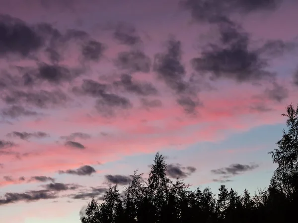 Beautiful dramatic clouds in the sky at sunset over the edge of the forest — Stock Photo, Image