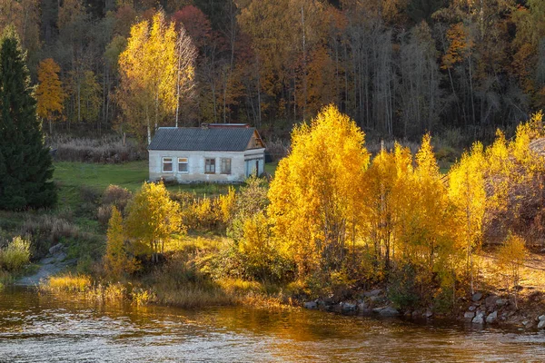 Small house on the river bank surrounded by autumn forest. Autumn Landscape - Image
