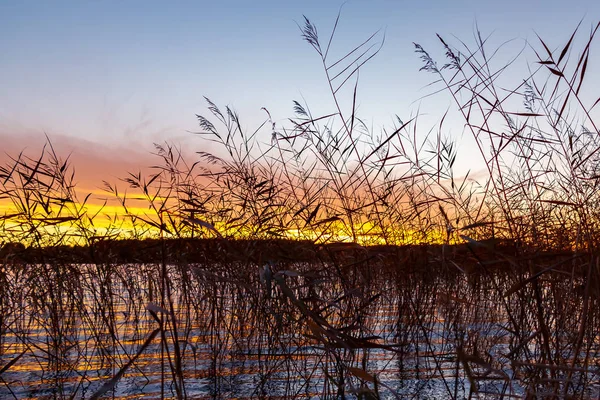 Belo pôr do sol no lago na noite de outono - Imagem — Fotografia de Stock
